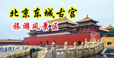 鸡巴插逼的视频中国北京-东城古宫旅游风景区