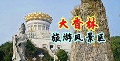 鸡巴插逼的视频中国浙江-绍兴大香林旅游风景区